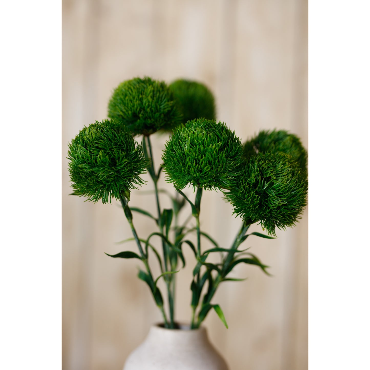 Dark green Dianthus stem featuring lush, rounded blooms and leafy stems, elegantly arranged in a simple vase.