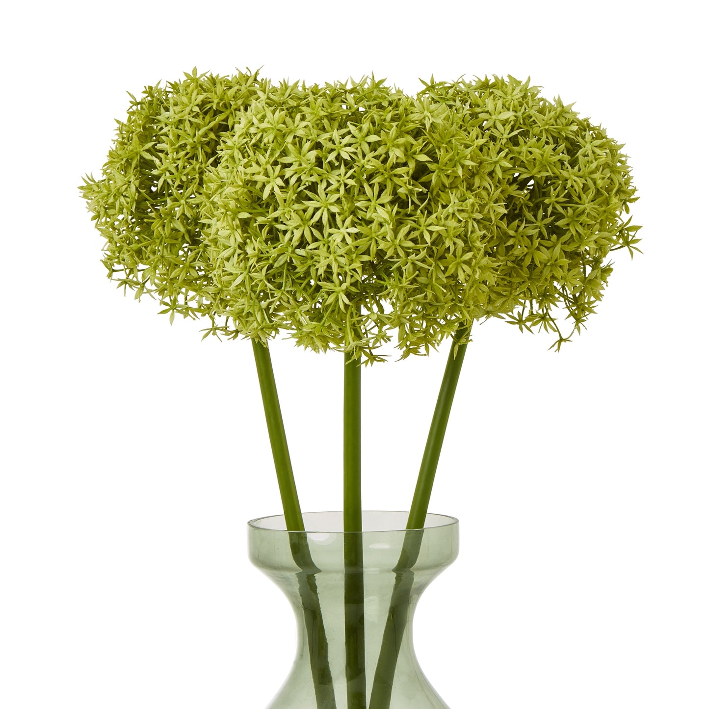 Vibrant green faux allium stem featuring a spherical bloom, elegantly displayed in a clear glass vase.