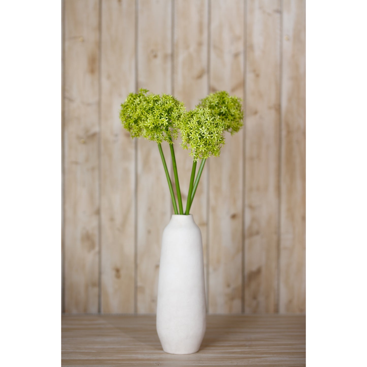 Lush green allium stems in a sleek white vase, set against a rustic wooden backdrop, blending elegance and natural beauty.