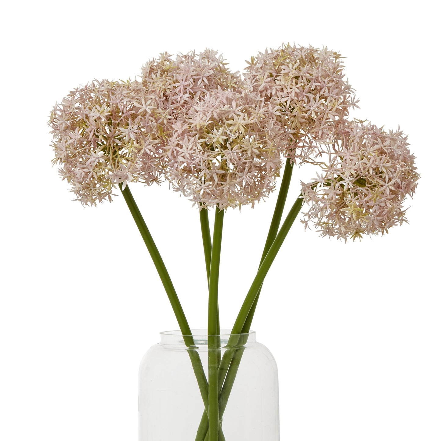 Delicate lilac and ivory spherical blooms on green stems, arranged in a clear glass vase for a sophisticated floral accent.