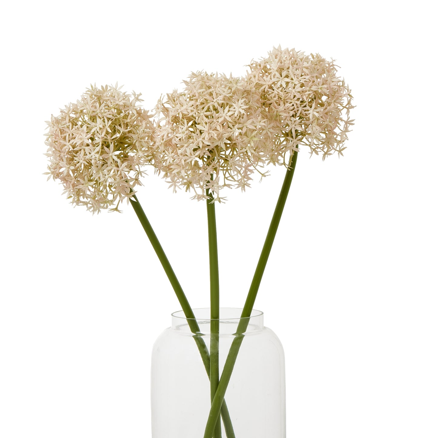 Pink allium stem featuring delicate spherical blooms with pink and ivory florets, presented in a clear glass vase.