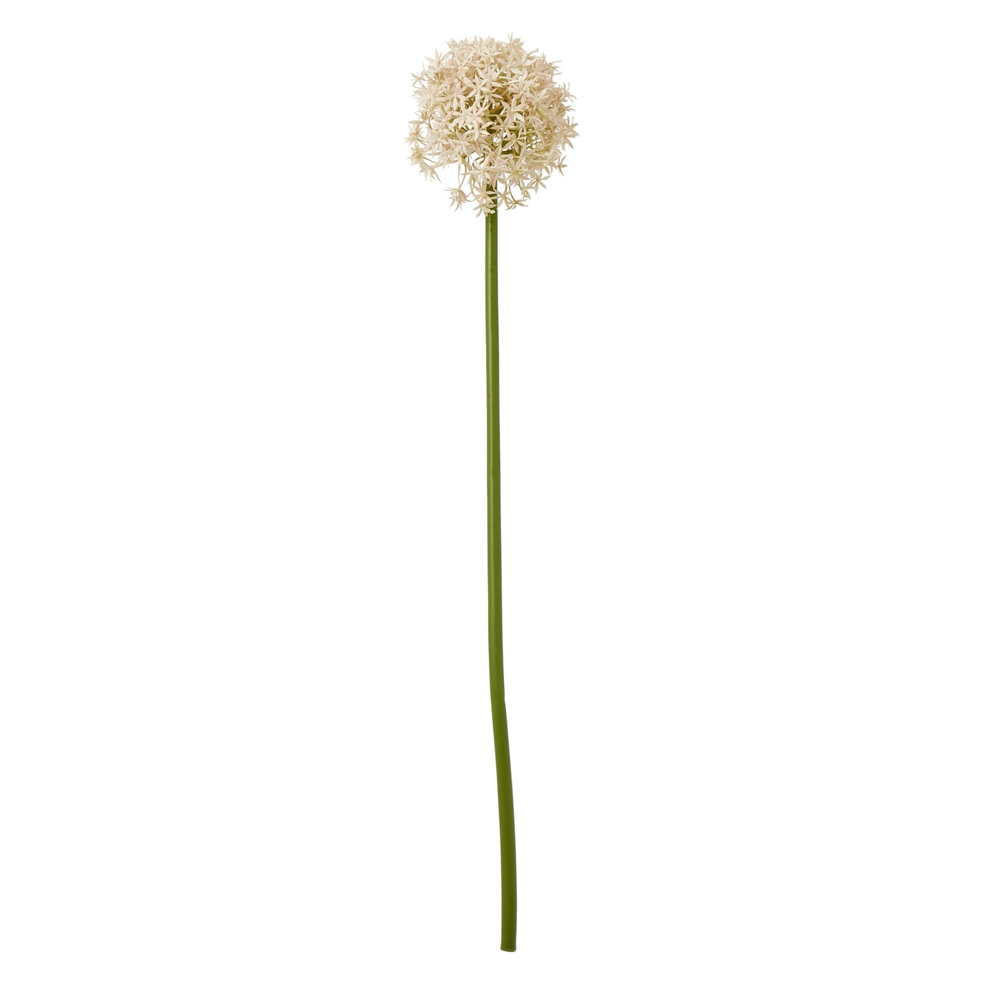 Pink faux allium stem with a spherical bloom of delicate pink and ivory florets on a long green stem, perfect for elegant decor.
