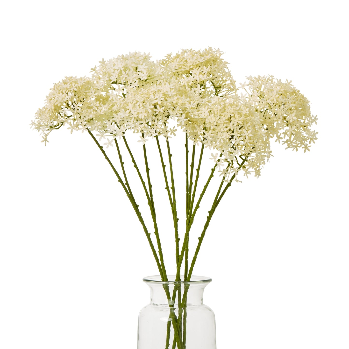 Creamy white hydrangea blooms on green stems in a clear glass vase, adding elegance to any décor. Ideal for low-maintenance styling.