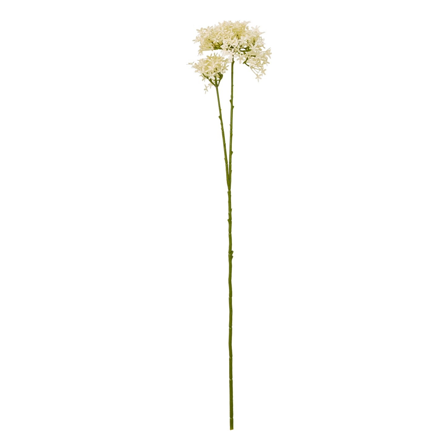Creamy white hydrangea clusters atop a long green stem, offering an elegant touch for versatile home décor arrangements.