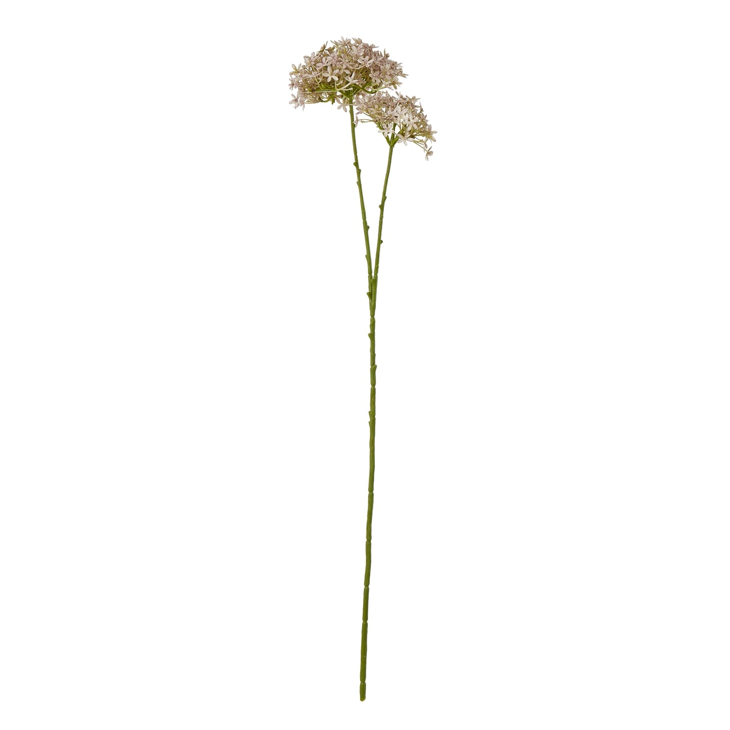 Lilac crown hydrangea stem with delicate, realistic blooms on a long green stem, perfect for elegant arrangements and decor.