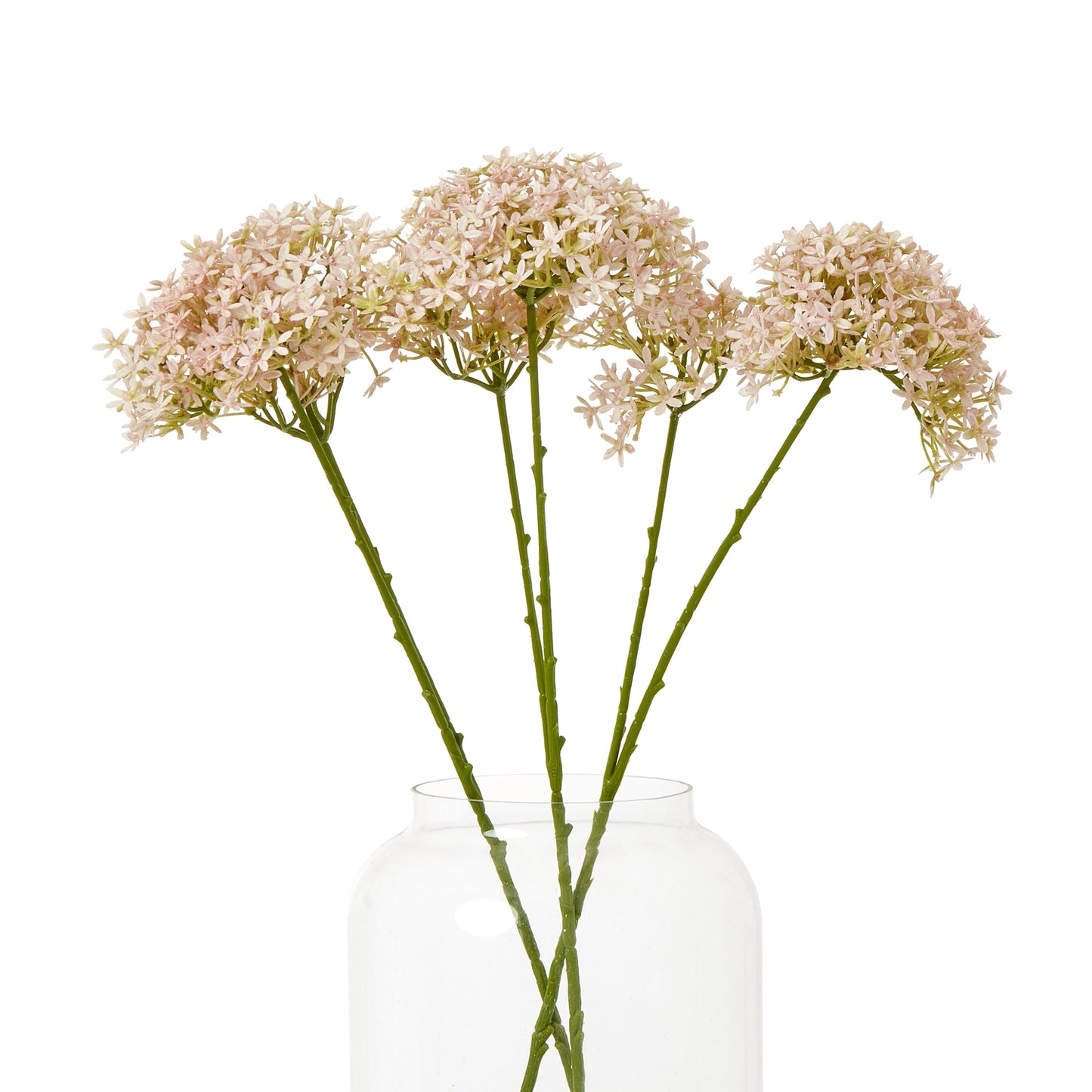 Delicate pink hydrangea blooms on sturdy green stems, elegantly arranged in a clear vase, adding sophistication to any decor.