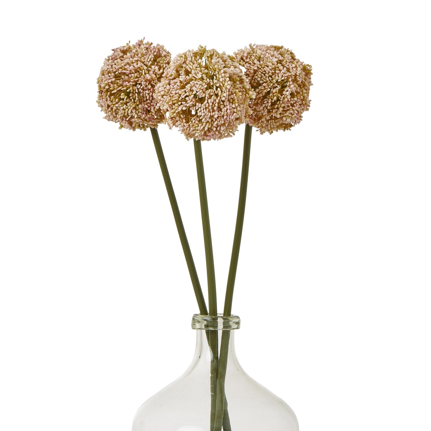 Vibrant pink allium stems with feathery heads in a glass vase, enhancing interiors with elegance and charm.