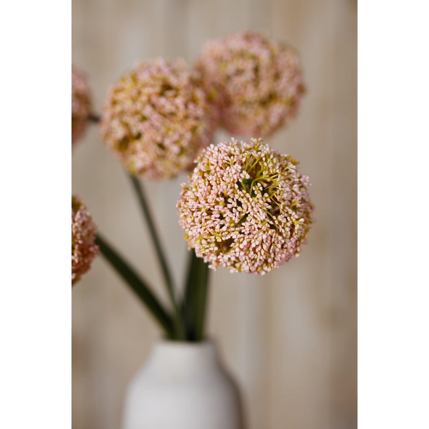 Vibrant pink allium stem featuring delicate, feathery blooms and green stems, displayed in a white vase.
