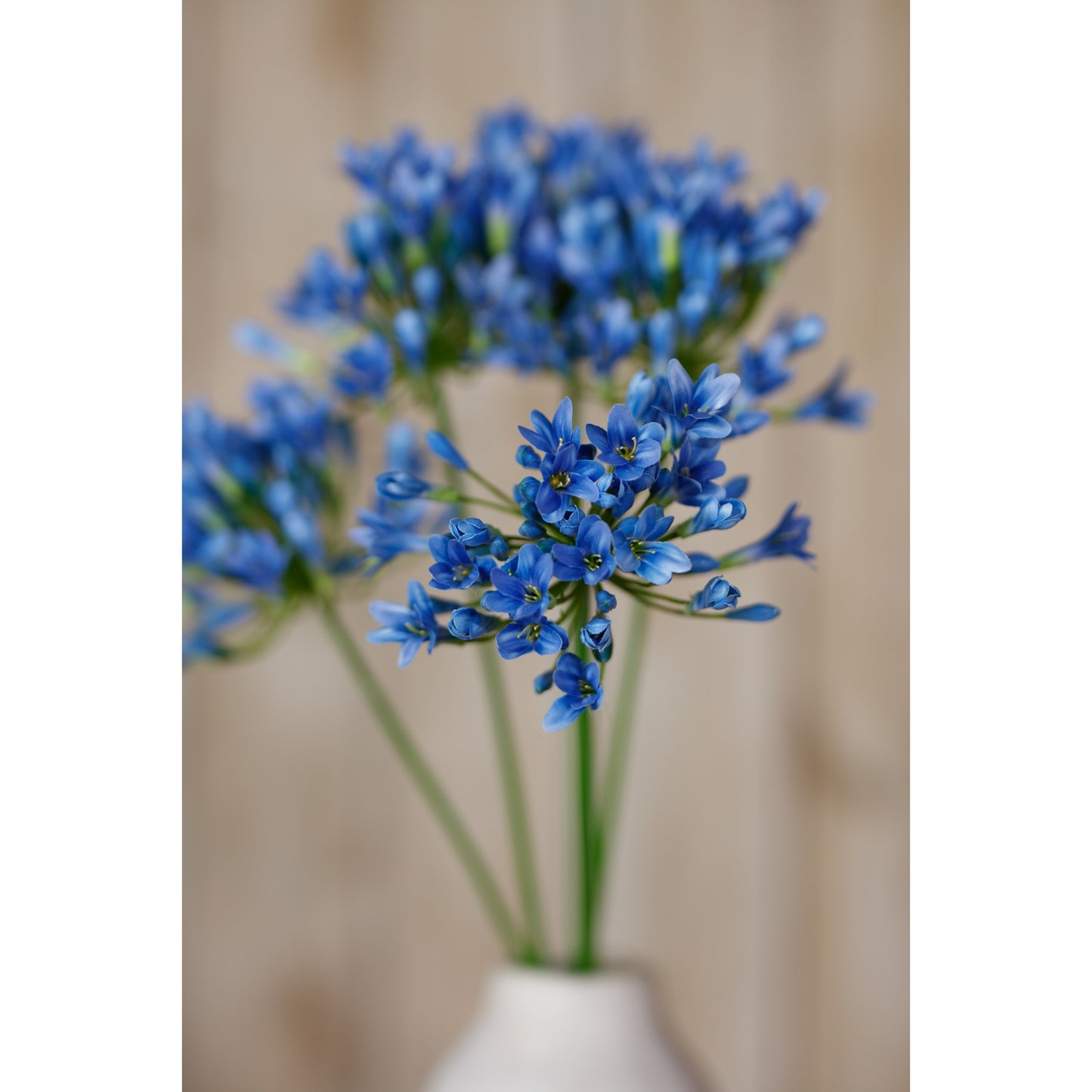 Vibrant blue agapanthus stem in a vase, featuring lifelike petals and delicate green stems, enhancing any decor with elegance.