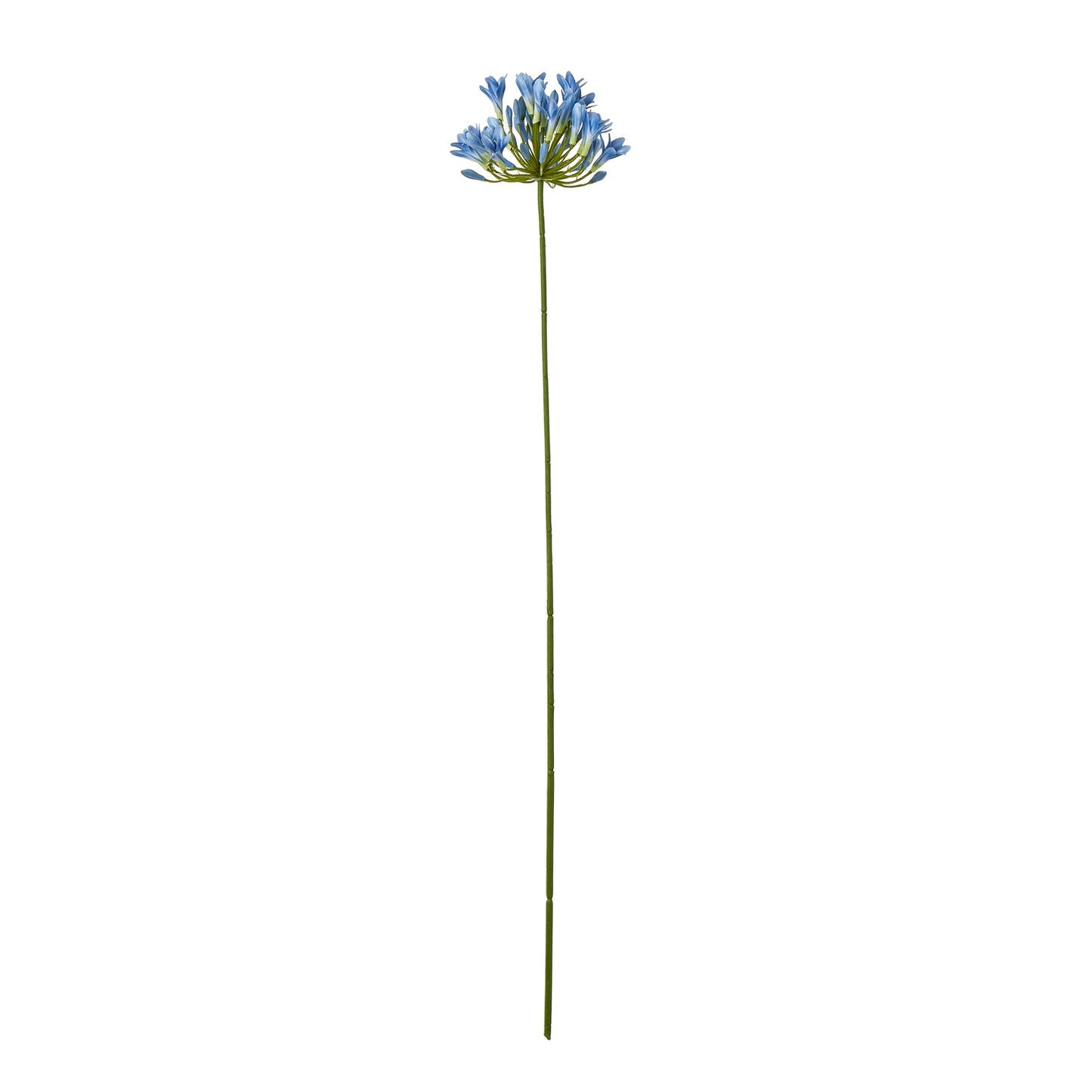 Vibrant blue agapanthus stem with lifelike petals and a slender green stem, perfect for elegant home or office decor.