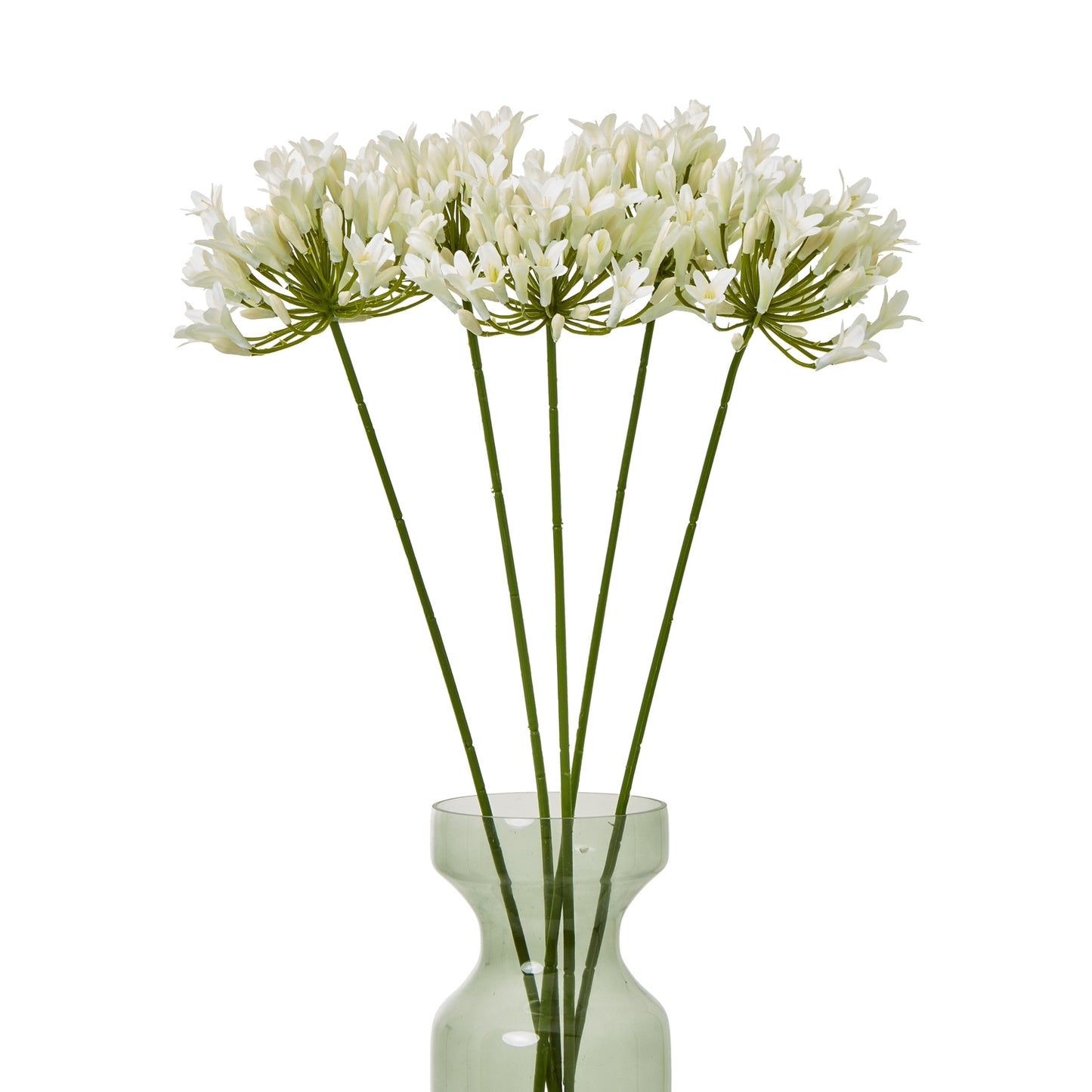 Elegant cream agapanthus spray with multiple botanically accurate blooms atop sturdy green stems, displayed in a soft green vase.