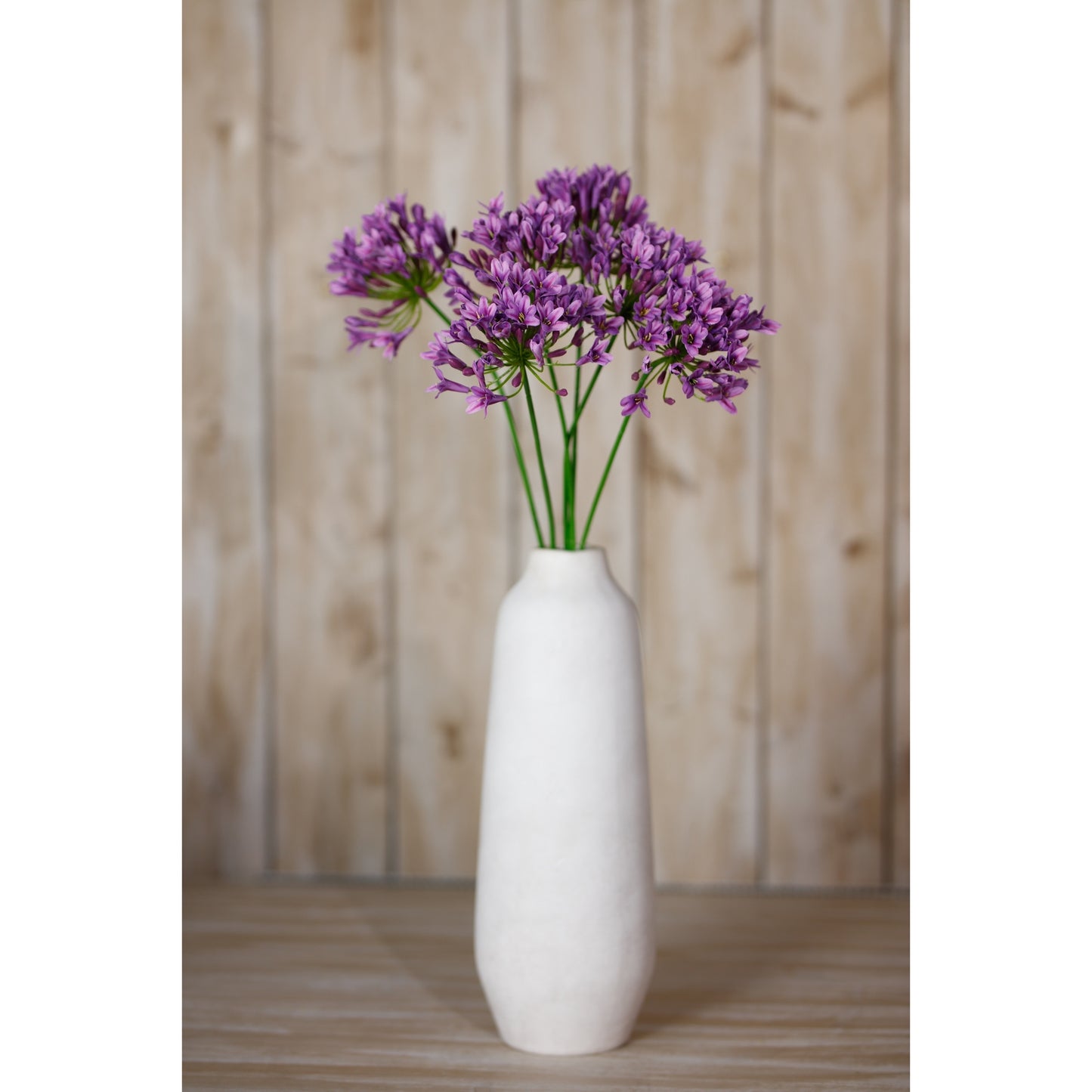 Delicate lilac agapanthus flowers in a sleek white vase, set against a rustic wooden background, adding elegance to any decor.
