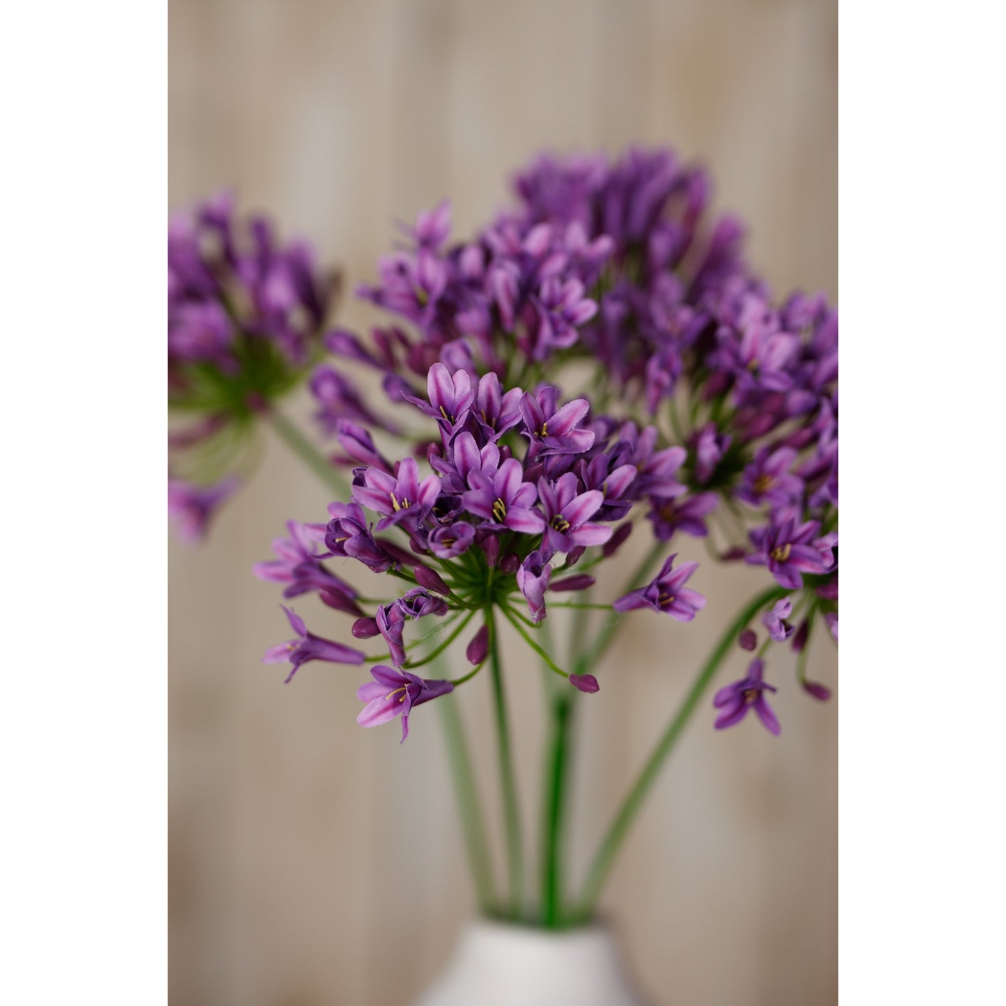Delicate lilac agapanthus blooms on long green stems, arranged stylishly in a neutral vase, enhancing any decor.