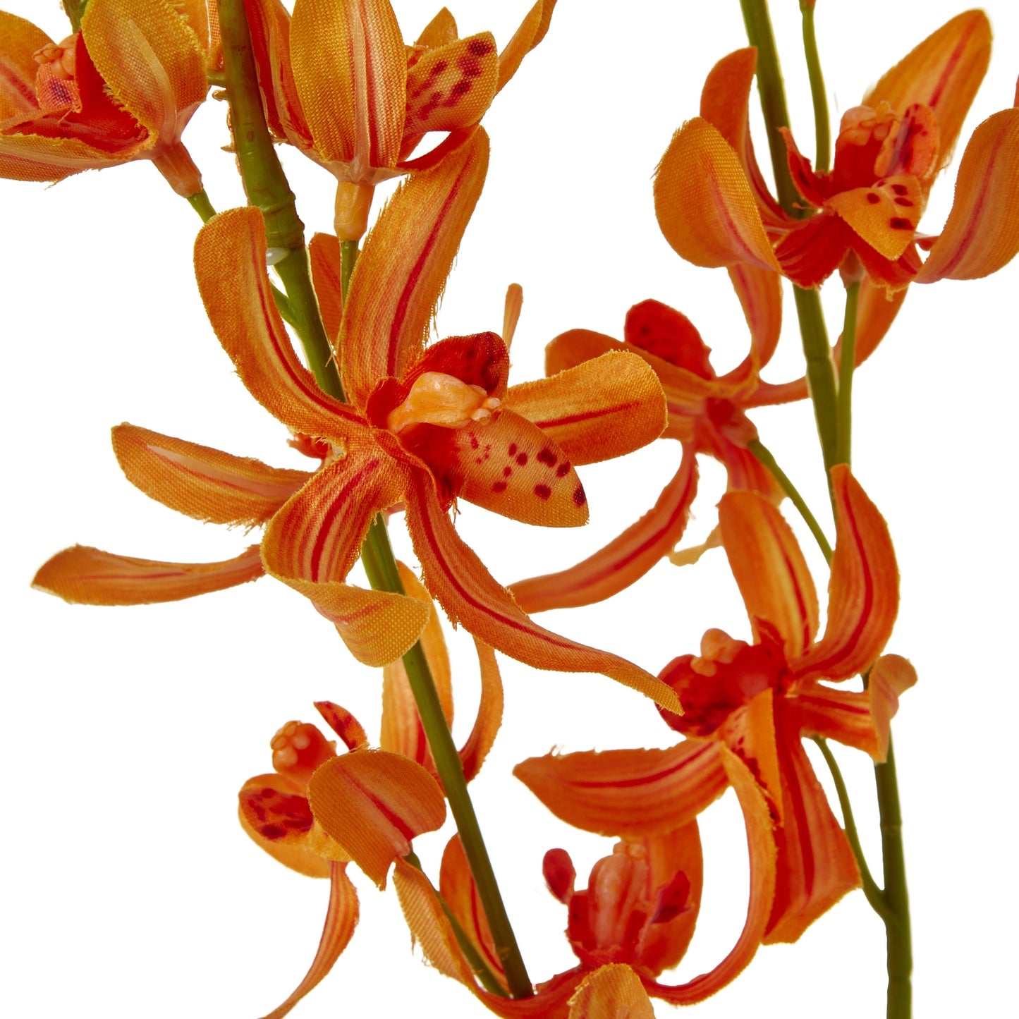 Vibrant orange Cymbidium Spray with intricate blooms, featuring rich hues and realistic textures, perfect for stylish decor.