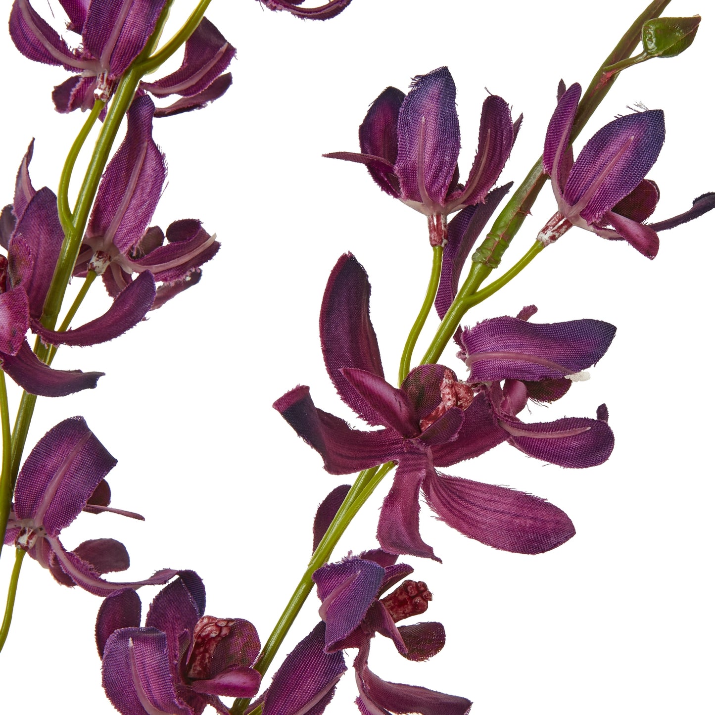 Vibrant purple cymbidium spray with velvety petals, perfect for adding elegance to any decor style.