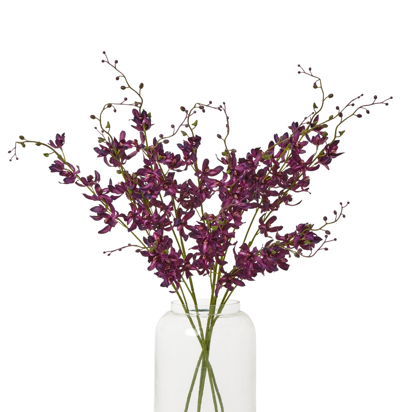 Vibrant purple Cymbidium spray with delicate, velvety petals in a clear vase, adding elegance to various interior styles.