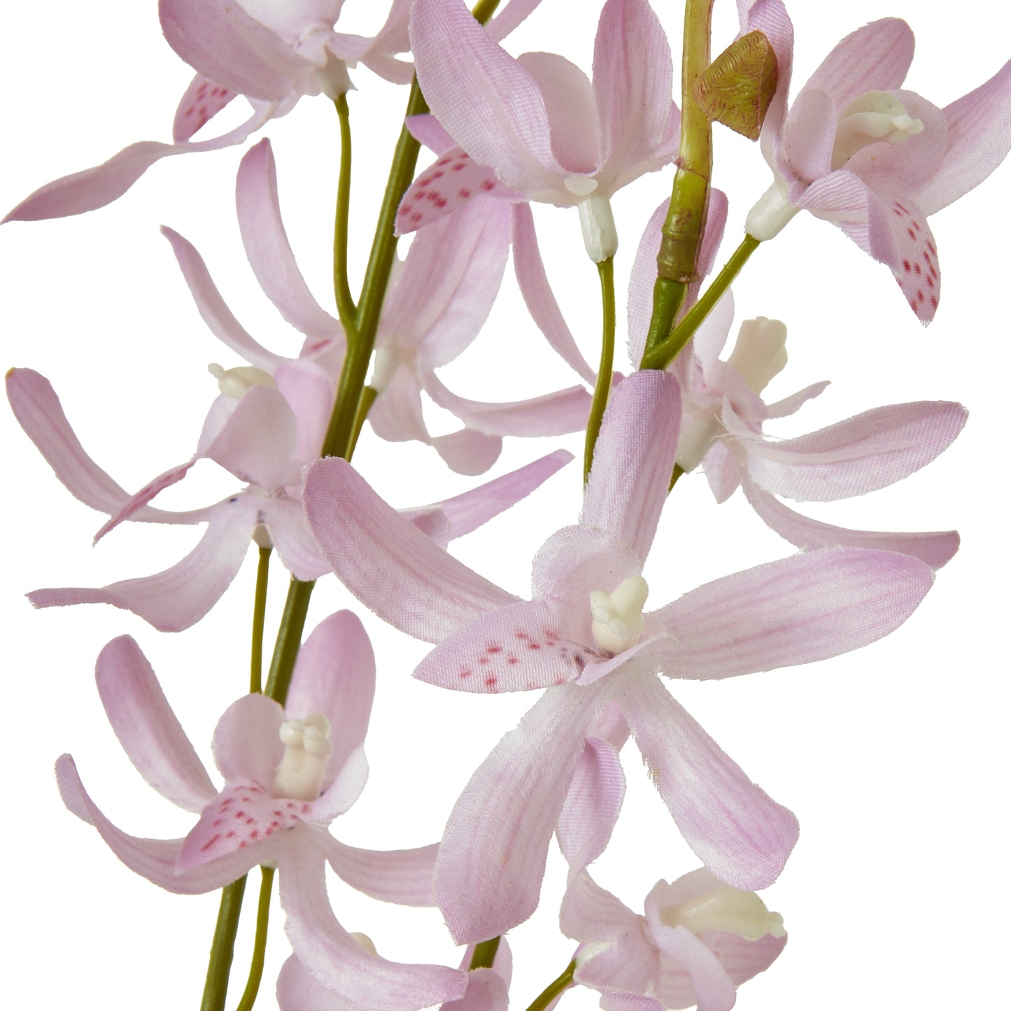 Delicate lilac cymbidium flowers with soft lavender petals, featuring a graceful cascading design, ideal for elegant decor.