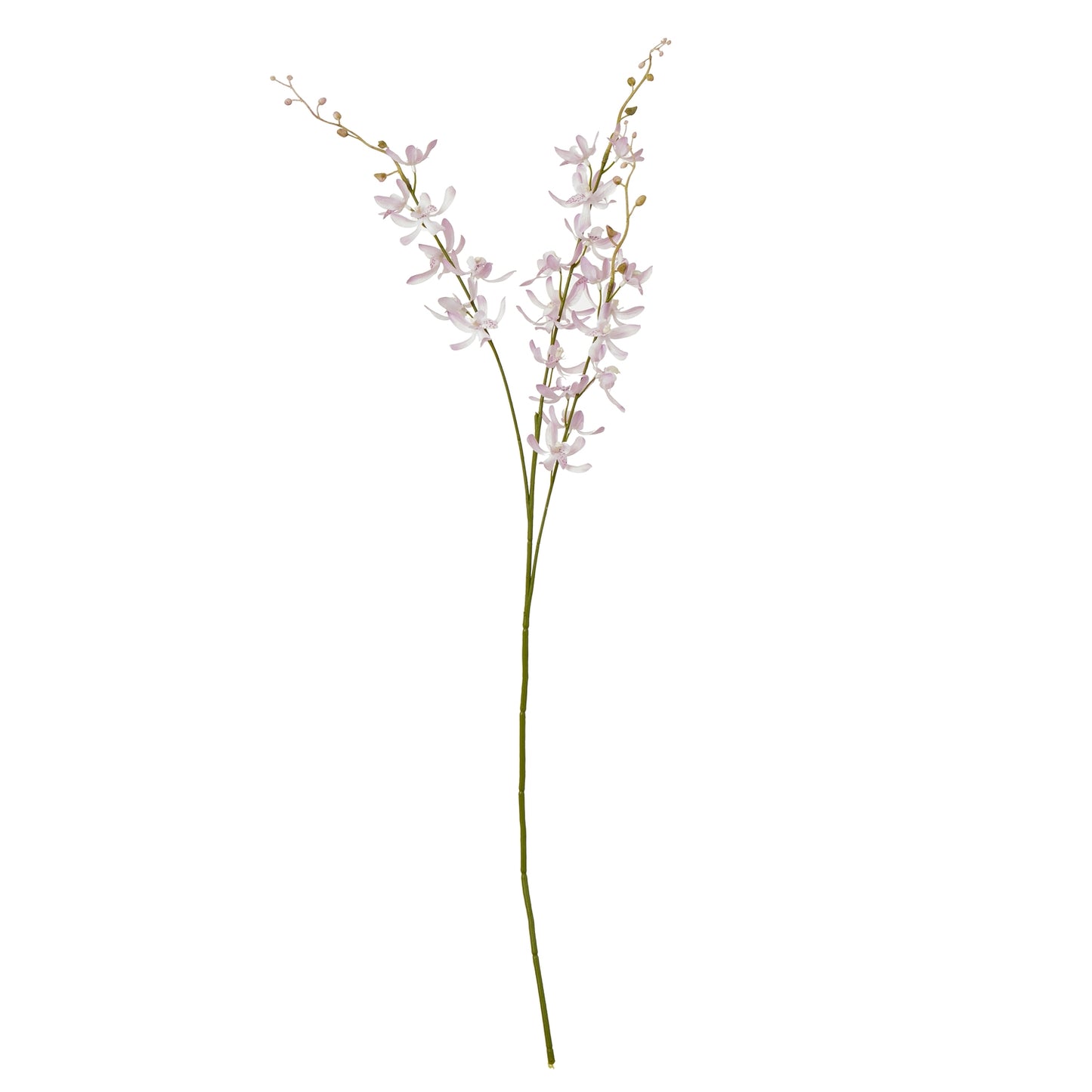 Lilac Cymbidium spray with delicate lavender petals, showcasing a graceful cascading design for elegant home decor.