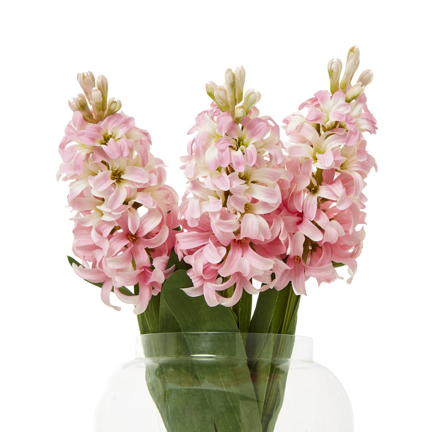 Delicate pink hyacinth stems with blush blooms and green leaves in a clear vase, adding elegance to home decor.