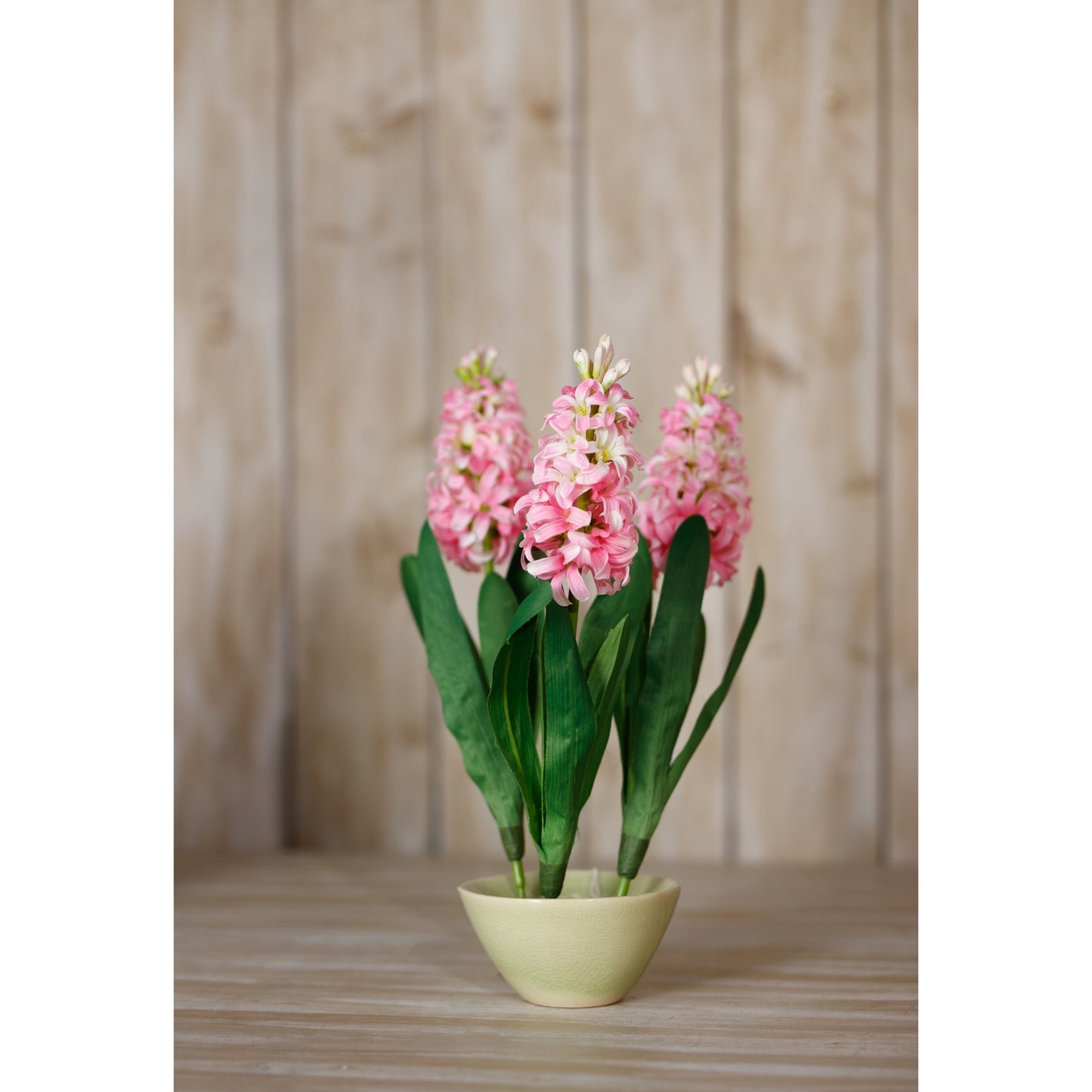 Delicate pink hyacinth blooms in a pale green bowl, surrounded by lush green leaves, set against a rustic wooden backdrop.
