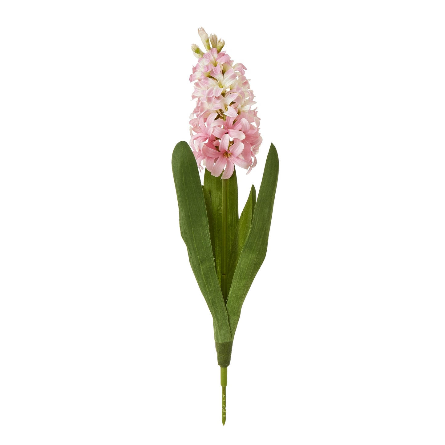 Delicate pink hyacinth stem with lush green leaves, adding elegance and charm to any home decor or floral arrangement.