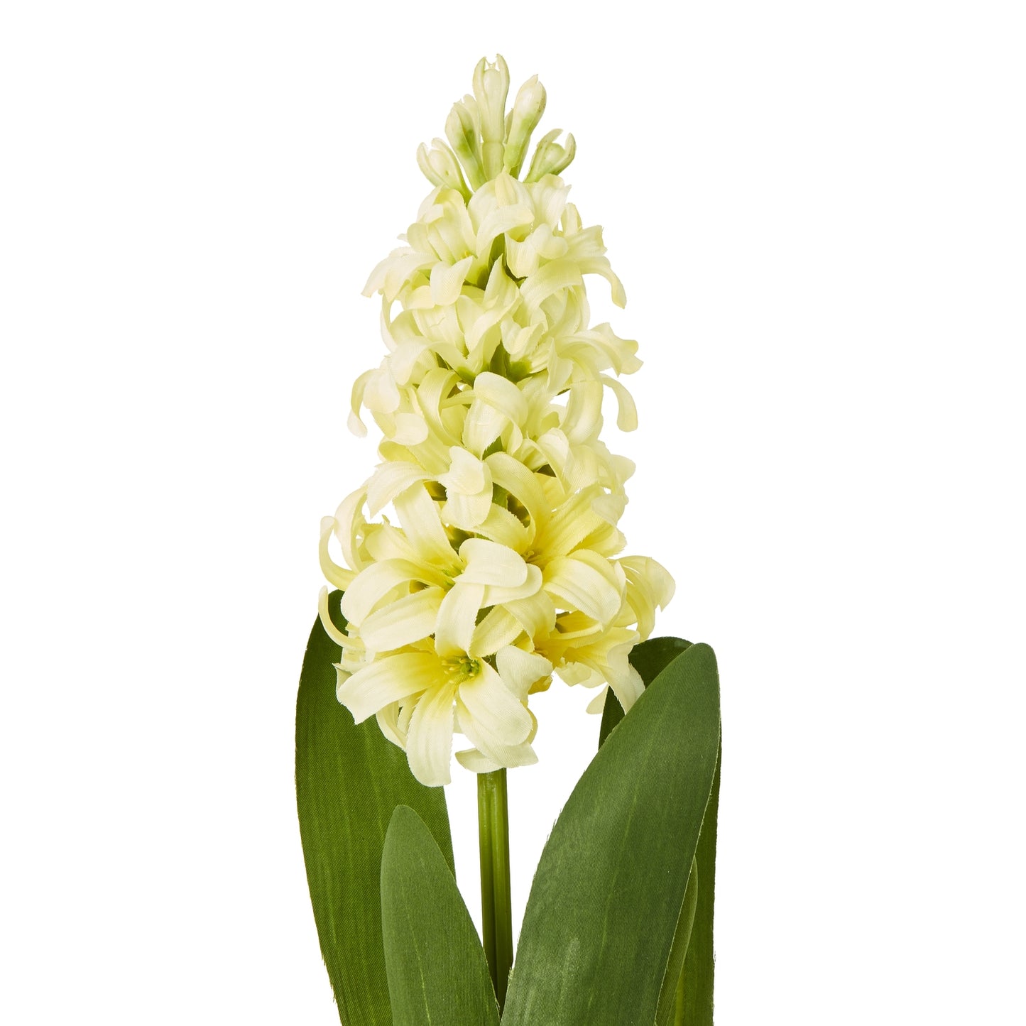 Vibrant yellow hyacinth stem with lush green leaves, offering a realistic floral touch for elegant home decor.