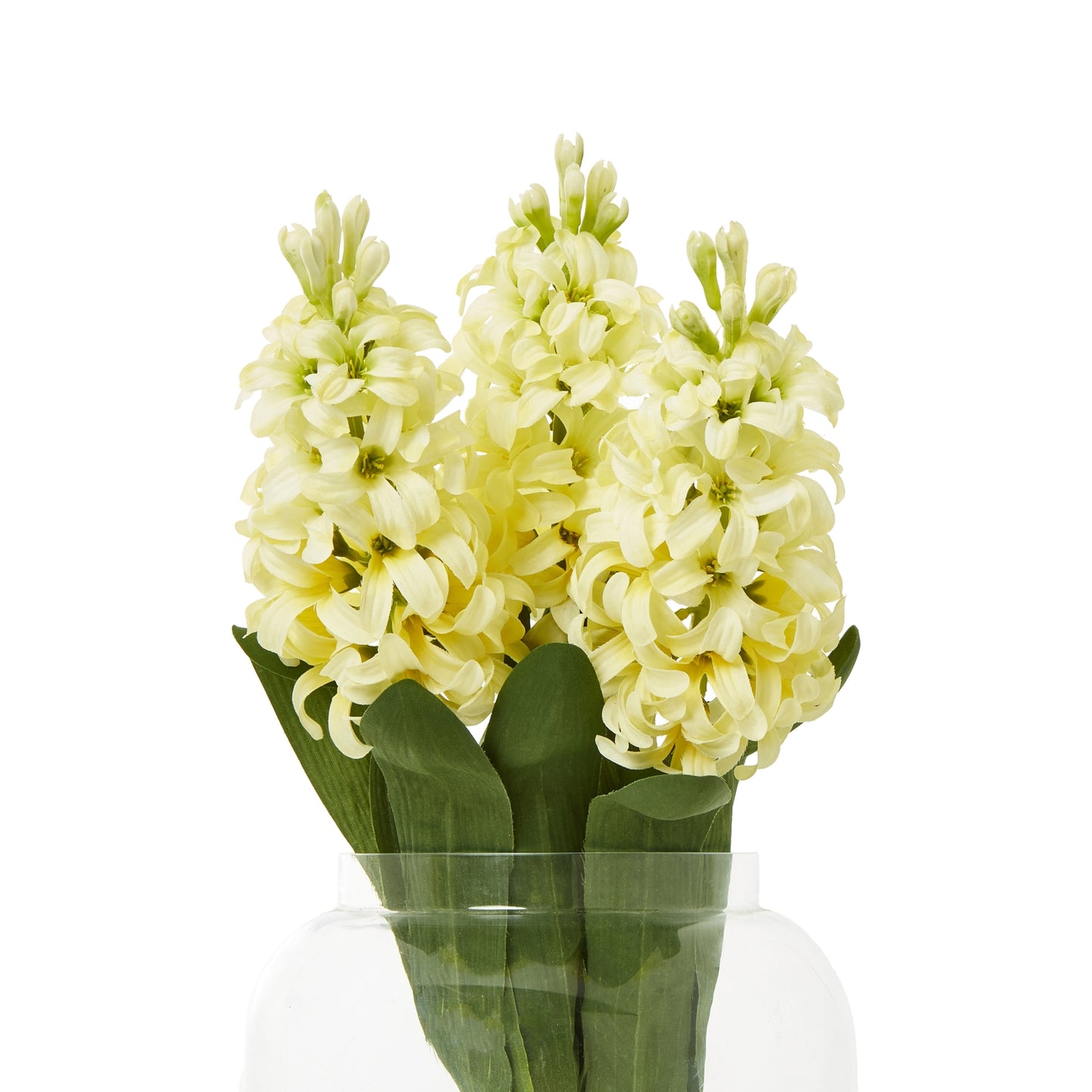 Vibrant yellow hyacinth stem with layered blooms and green leaves, perfect for enhancing home decor with a touch of elegance.
