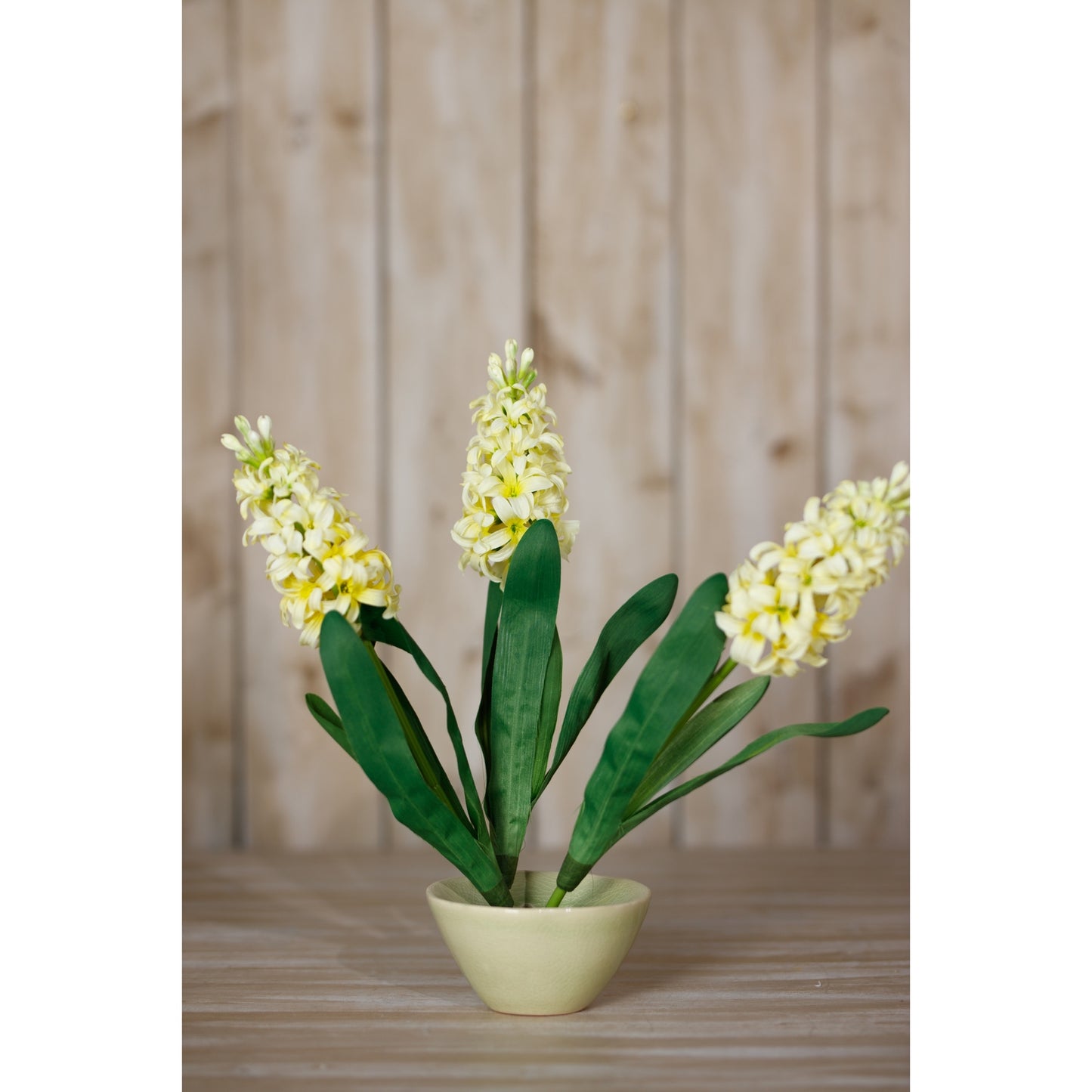 Vibrant yellow hyacinth blooms in a minimalist green pot, featuring lush green leaves, perfect for any decor style.