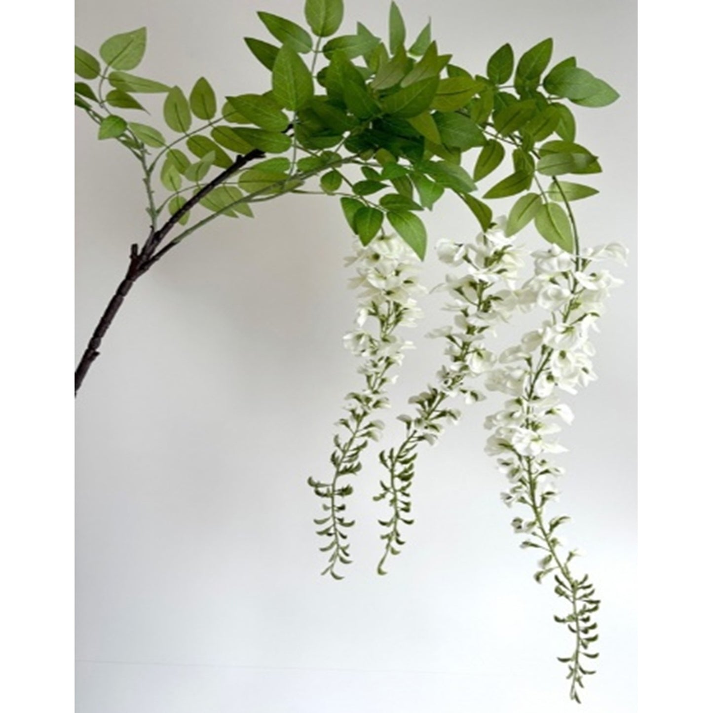 Large white wisteria spray with cascading blossoms and green leaves, perfect for elegant decor in various settings.