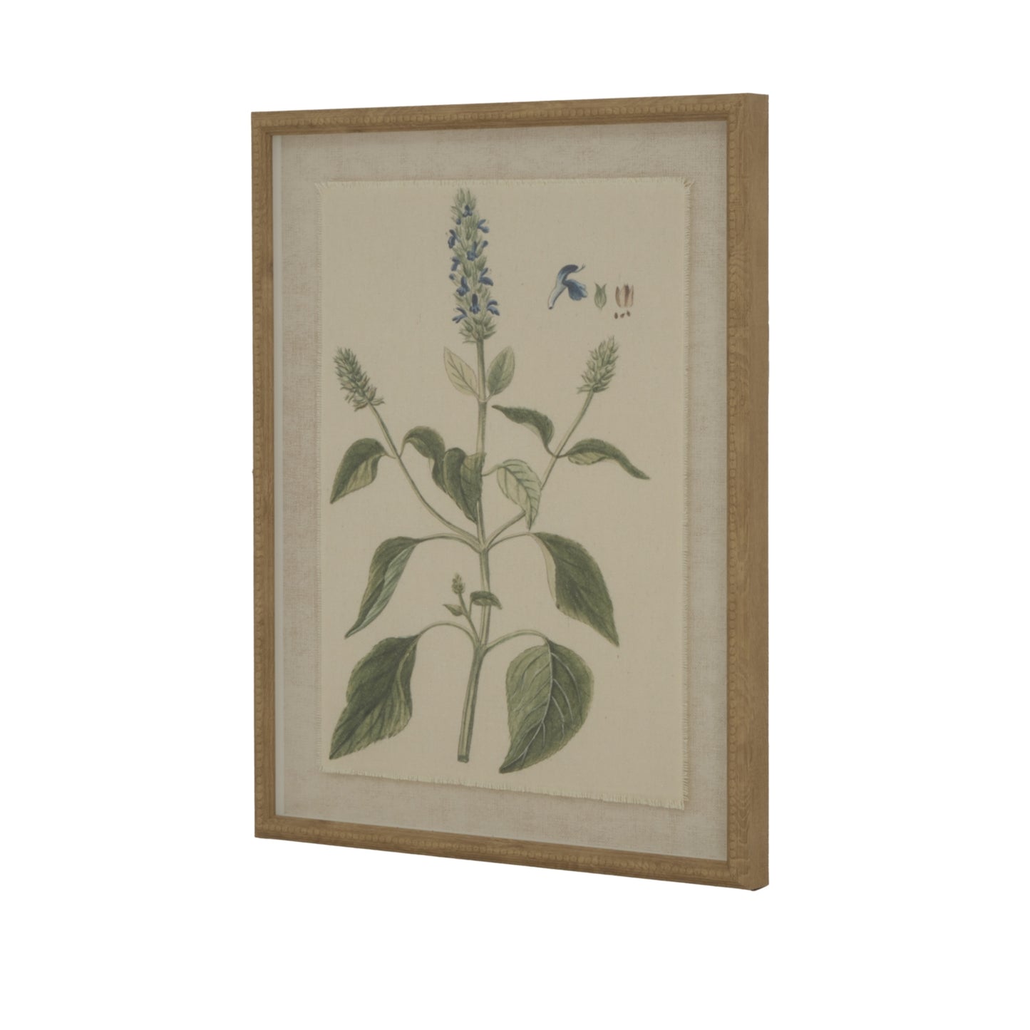 Botanical illustration of salvia on natural linen, framed in an elegant beaded wood frame, combining sophisticated detail and subtle colors.