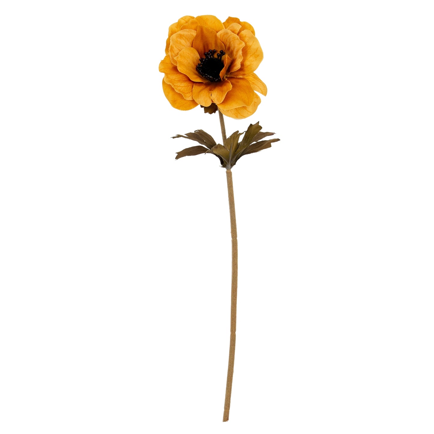 Orange Anemone Stem - Single Stem Flowers from the Quanta Home collection.