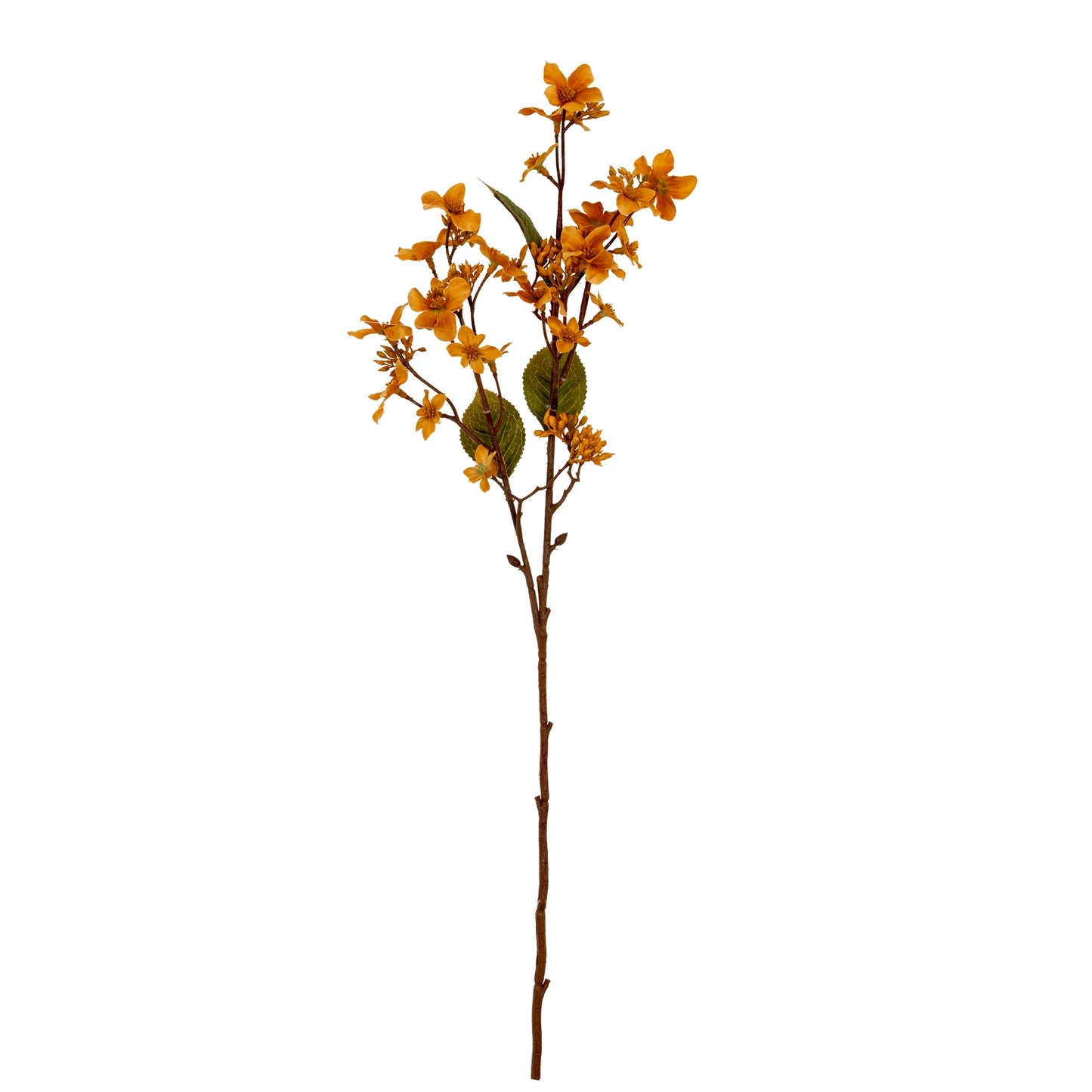 Yellow Vernicia Fordii Spray - Single Stem Flowers from the Quanta Home collection.
