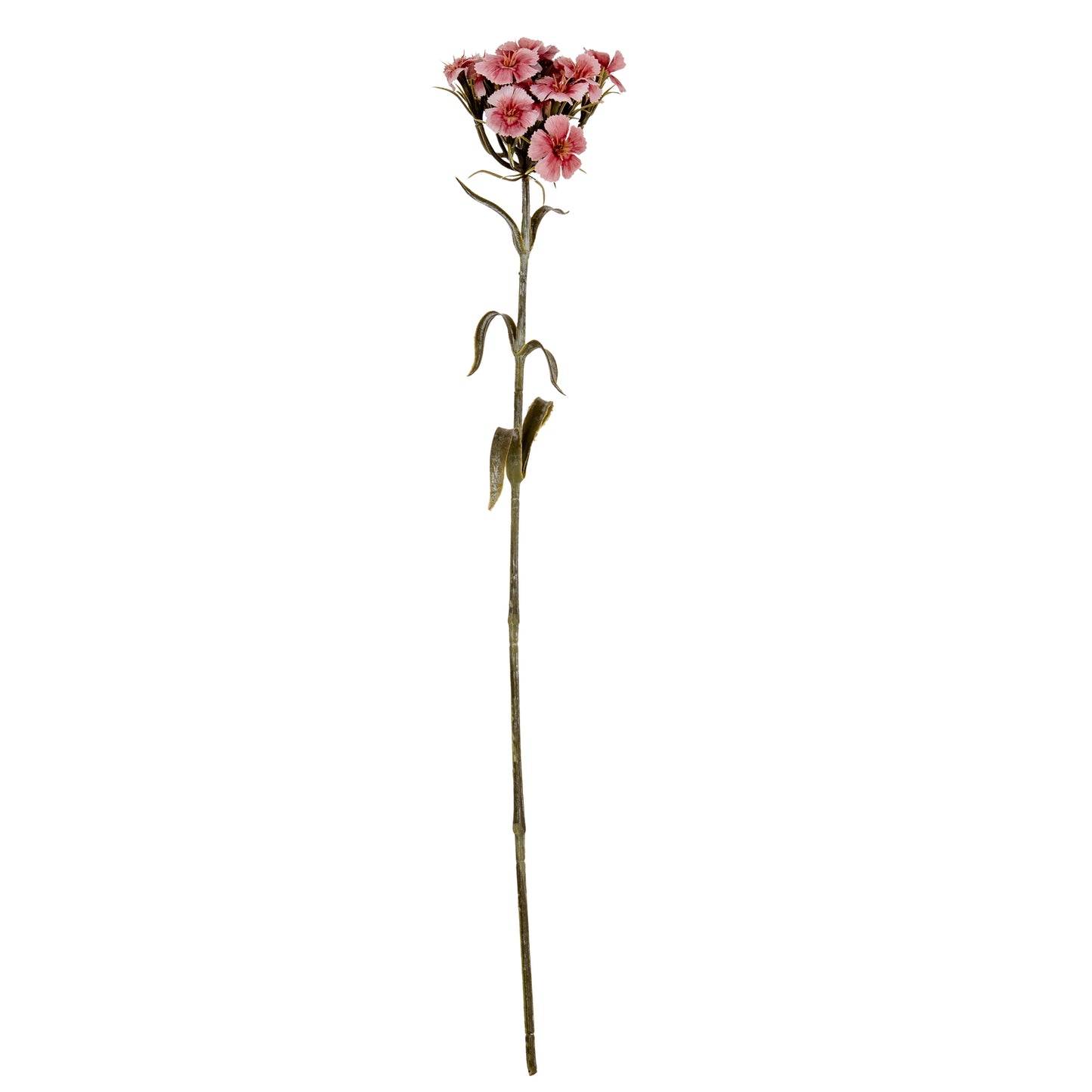Pink Dianthus Spray - Single Stem Flowers from the Quanta Home collection.
