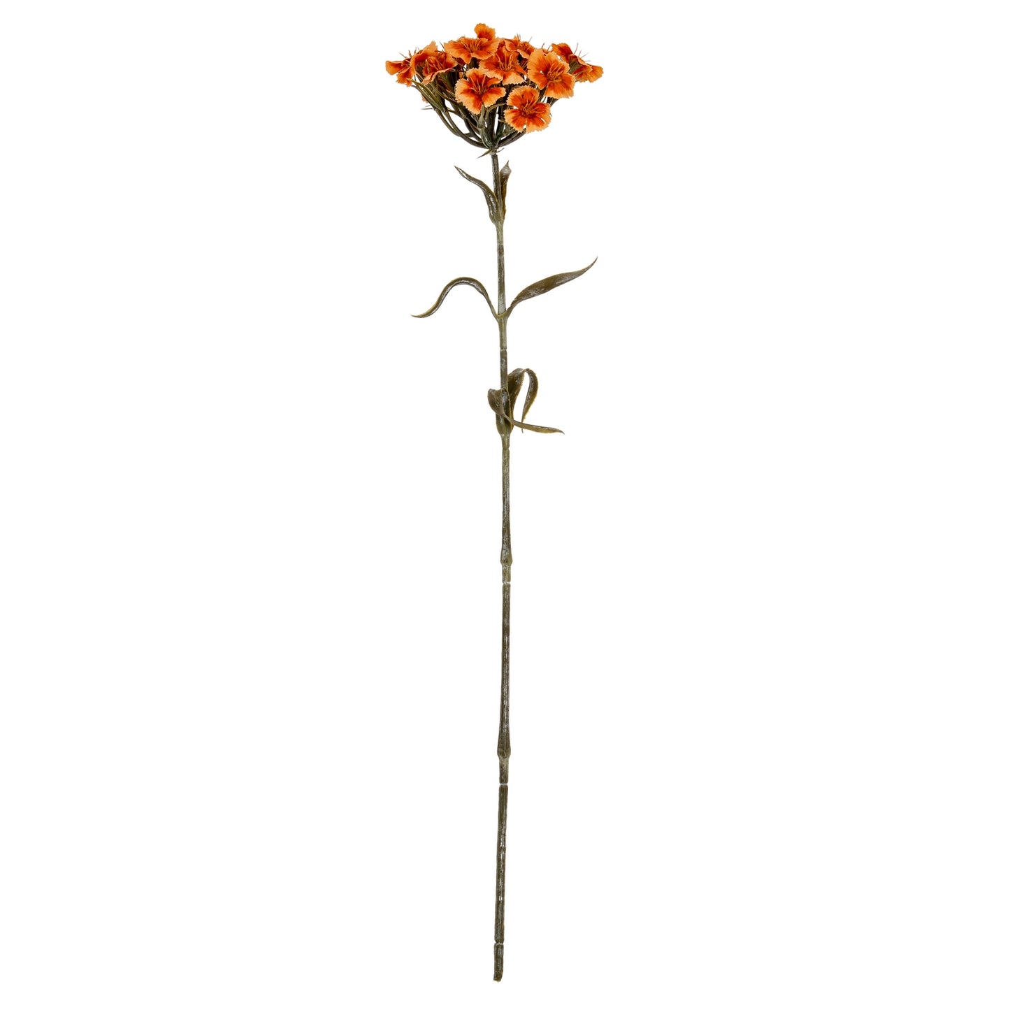 Orange Dianthus Spray - Single Stem Flowers from the Quanta Home collection.