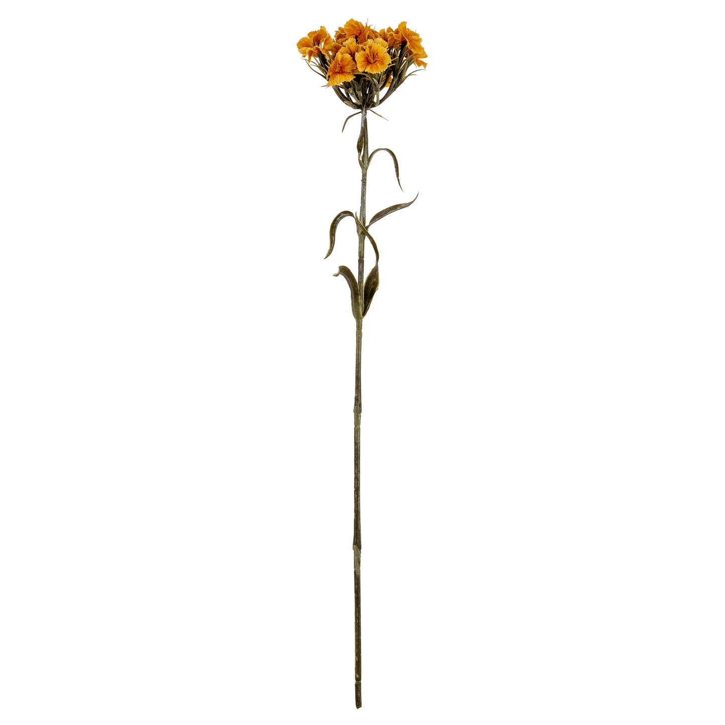 Yellow Dianthus Spray - Single Stem Flowers from the Quanta Home collection.