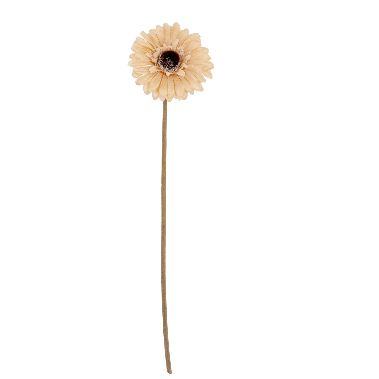 Cream Gerbera Stem - Single Stem Flowers from the Quanta Home collection.