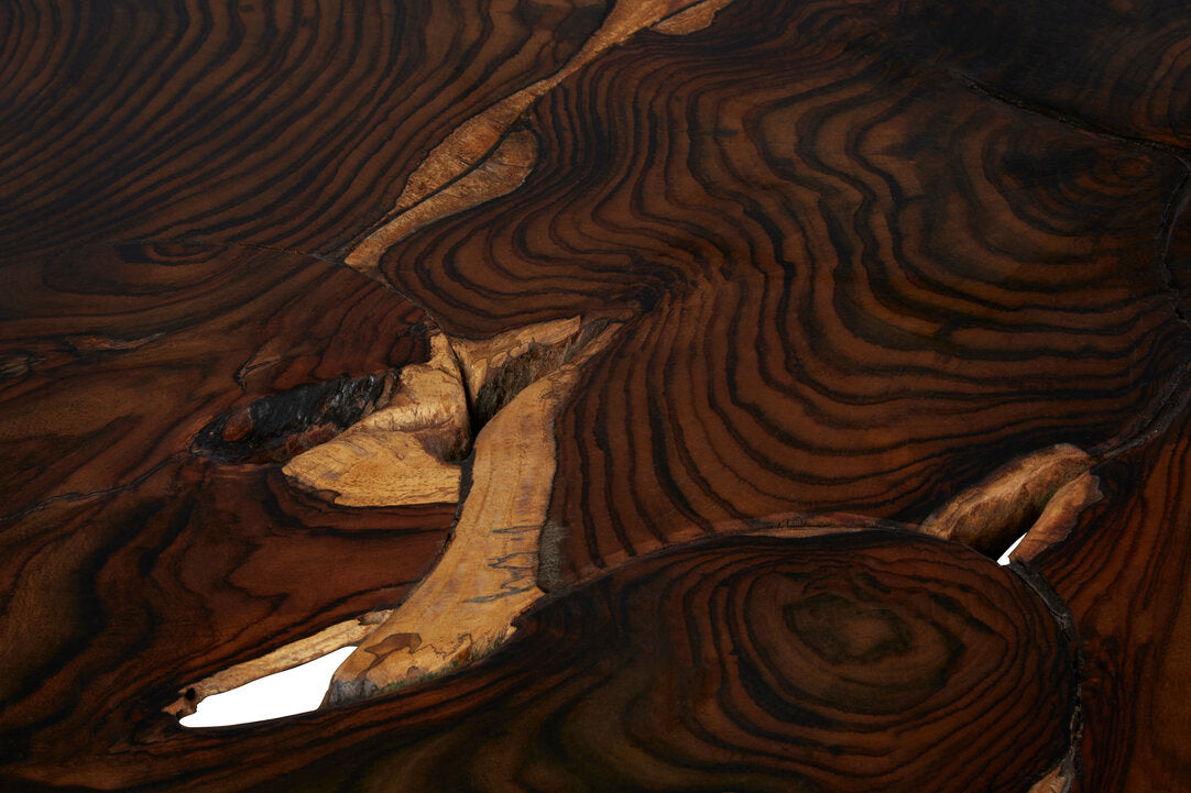 Timor Sonokeling Root Coffee Table