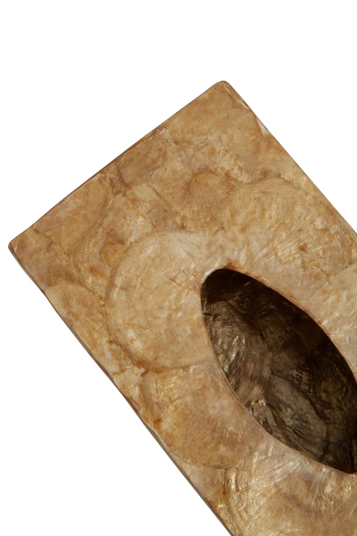 Pelara Beige Seashell Tissue Box