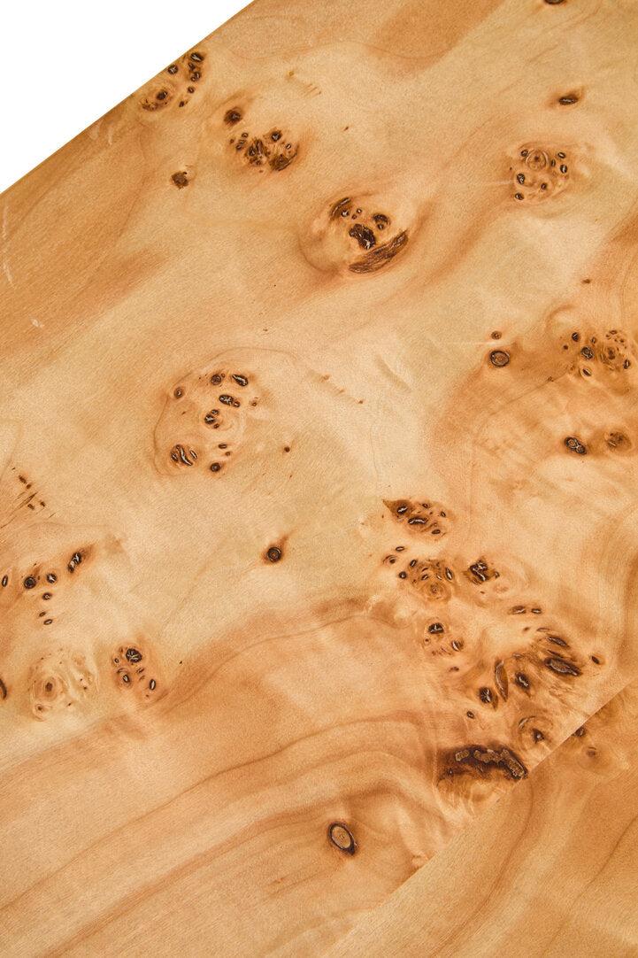 Sequoia Burl Wood Design Curved Coffee Table