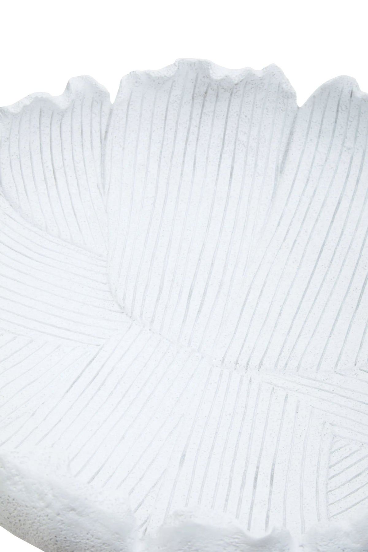 Premier Housewares product image