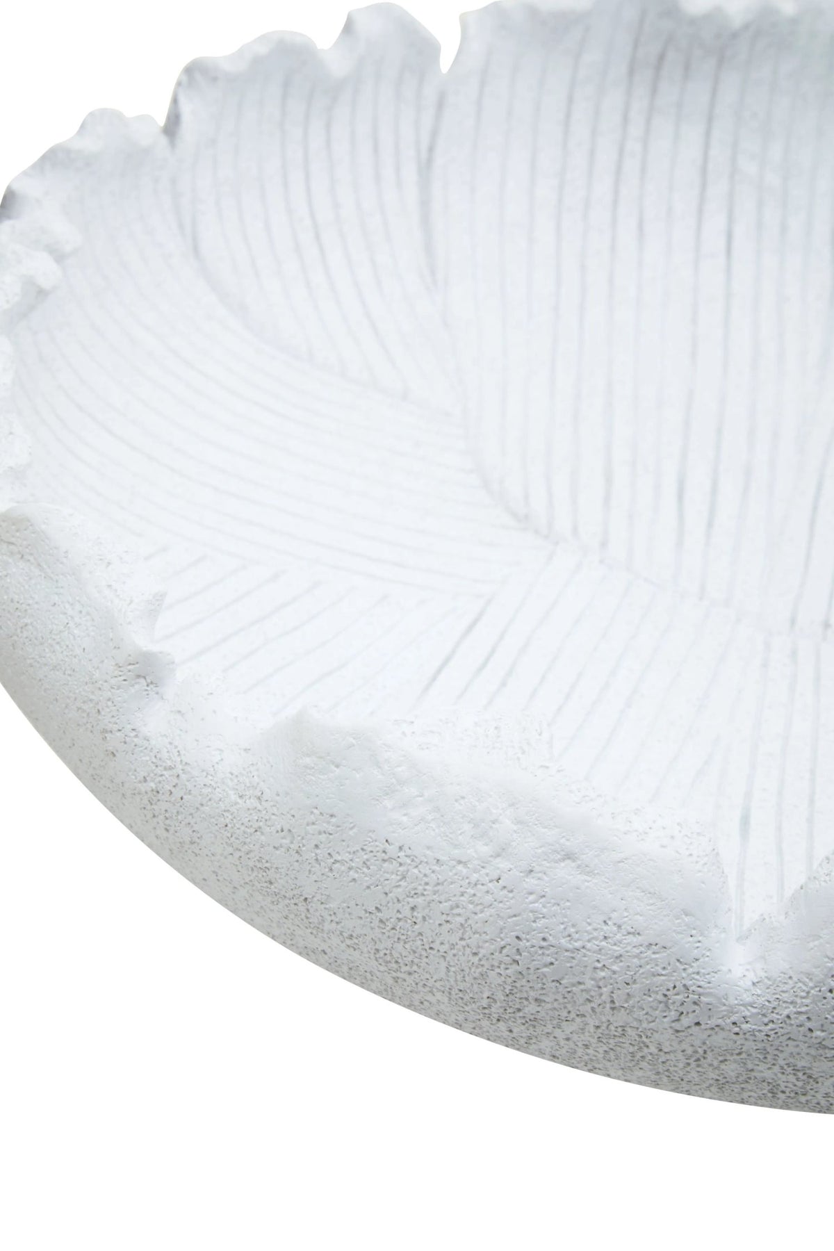 Premier Housewares product image