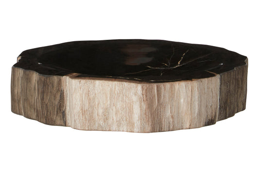 Artifact Petrified Wood Bowl