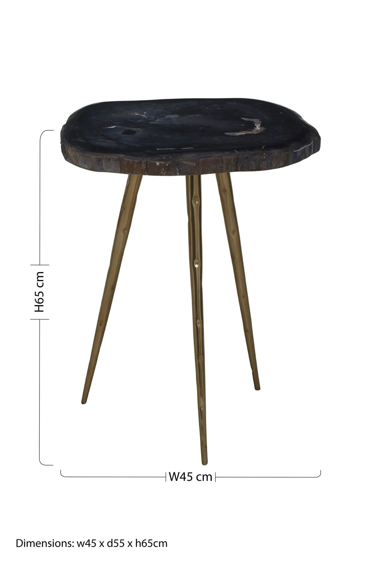 Artifact Petrified Wood Top and Brass Finish Legs Side Table