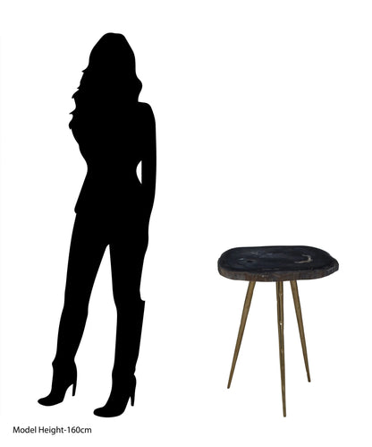 Artifact Petrified Wood Top and Brass Finish Legs Side Table