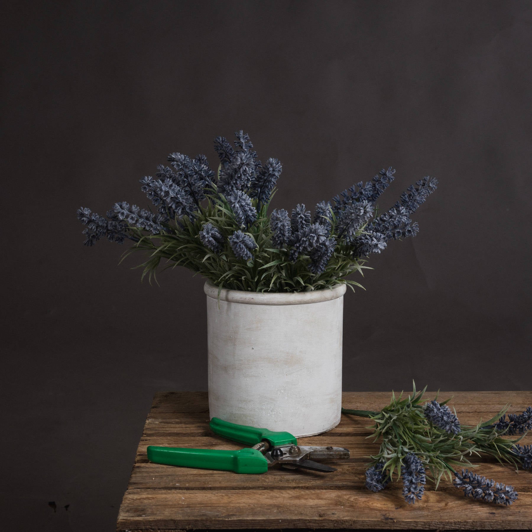 Small lavender spray in a rustic white pot, featuring realistic purple blooms and green foliage, with gardening shears nearby.