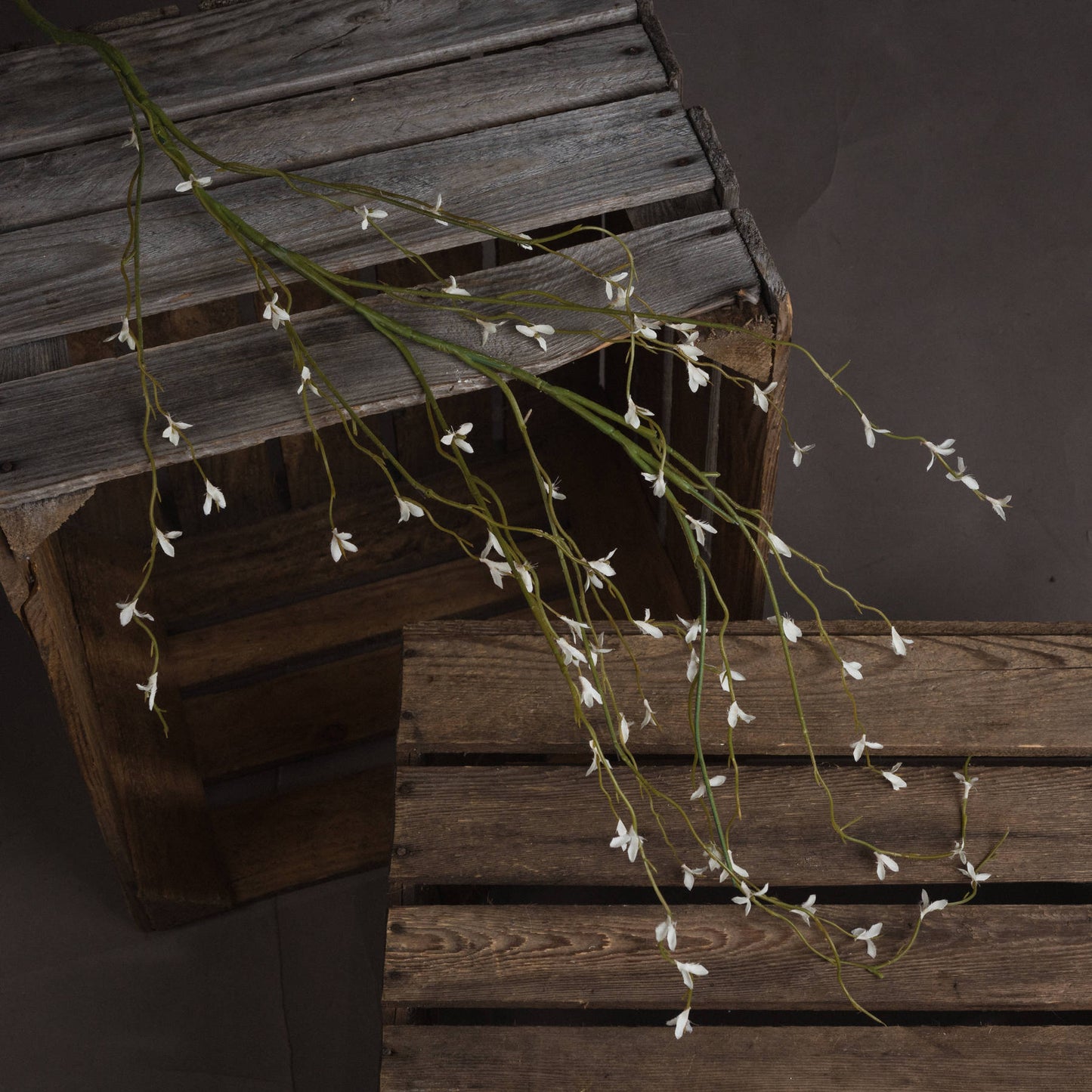White Willow Spray - Spring Stems from the Quanta Home collection.