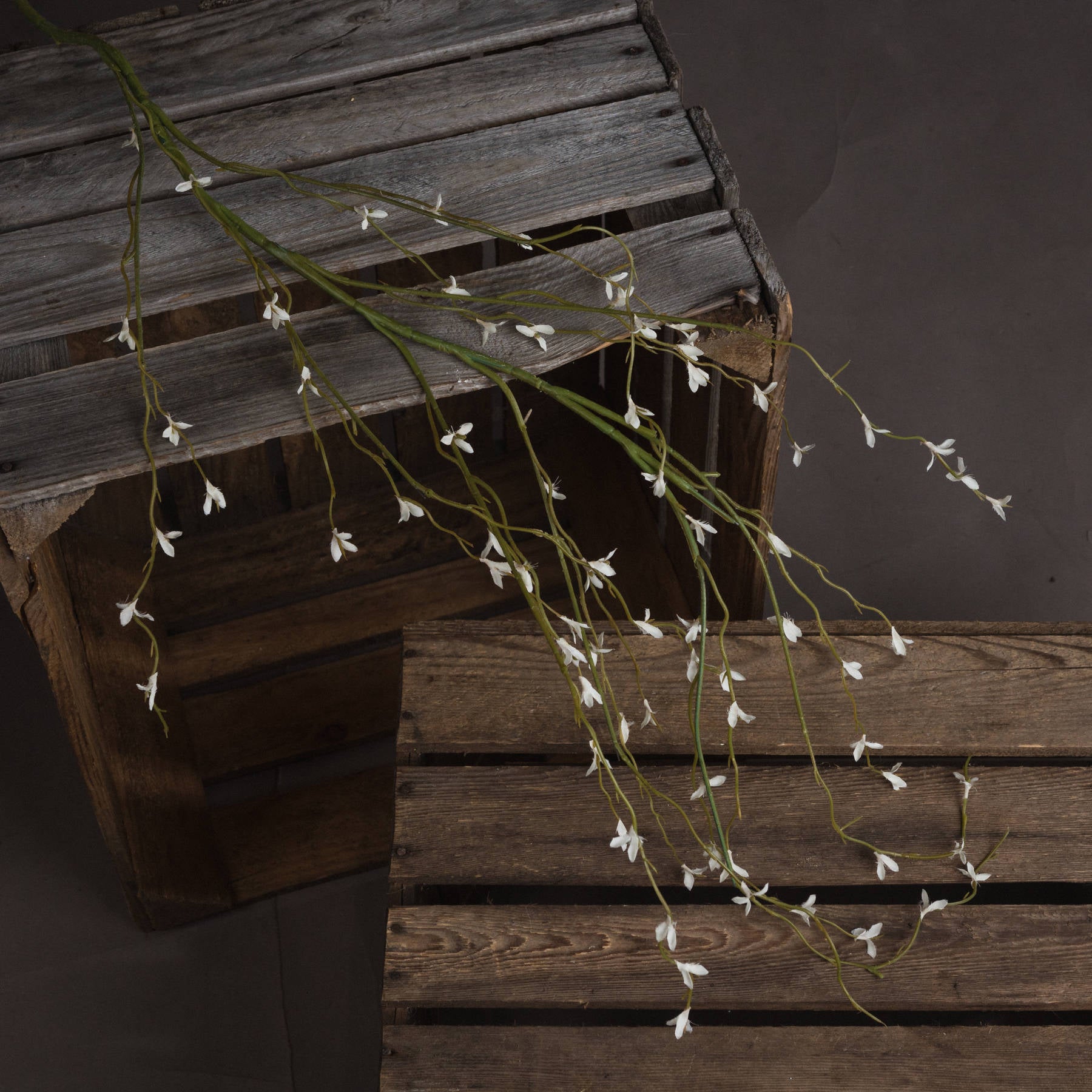 White Willow Spray - Spring Stems from the Quanta Home collection.