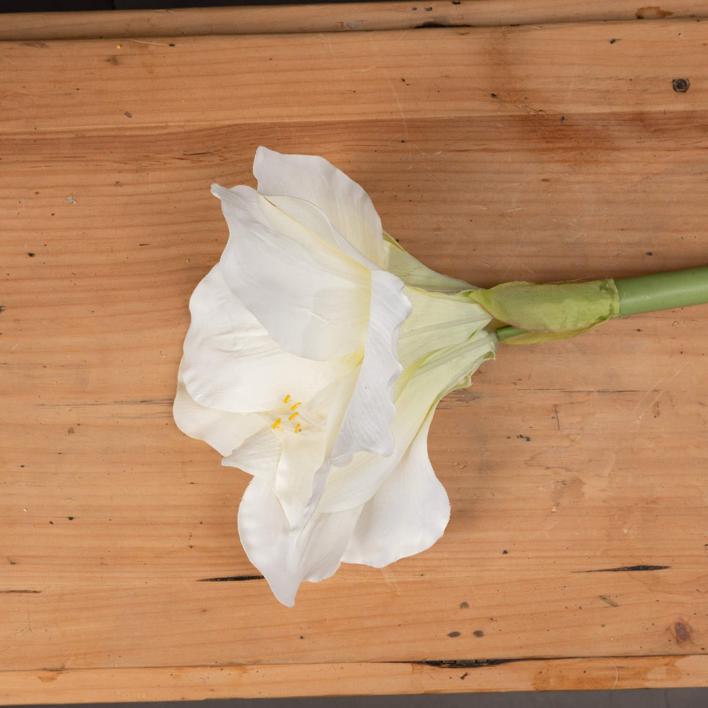 Elegant white amaryllis flower with two open blossoms and a closed bud on a single green stem, placed on a wooden surface.