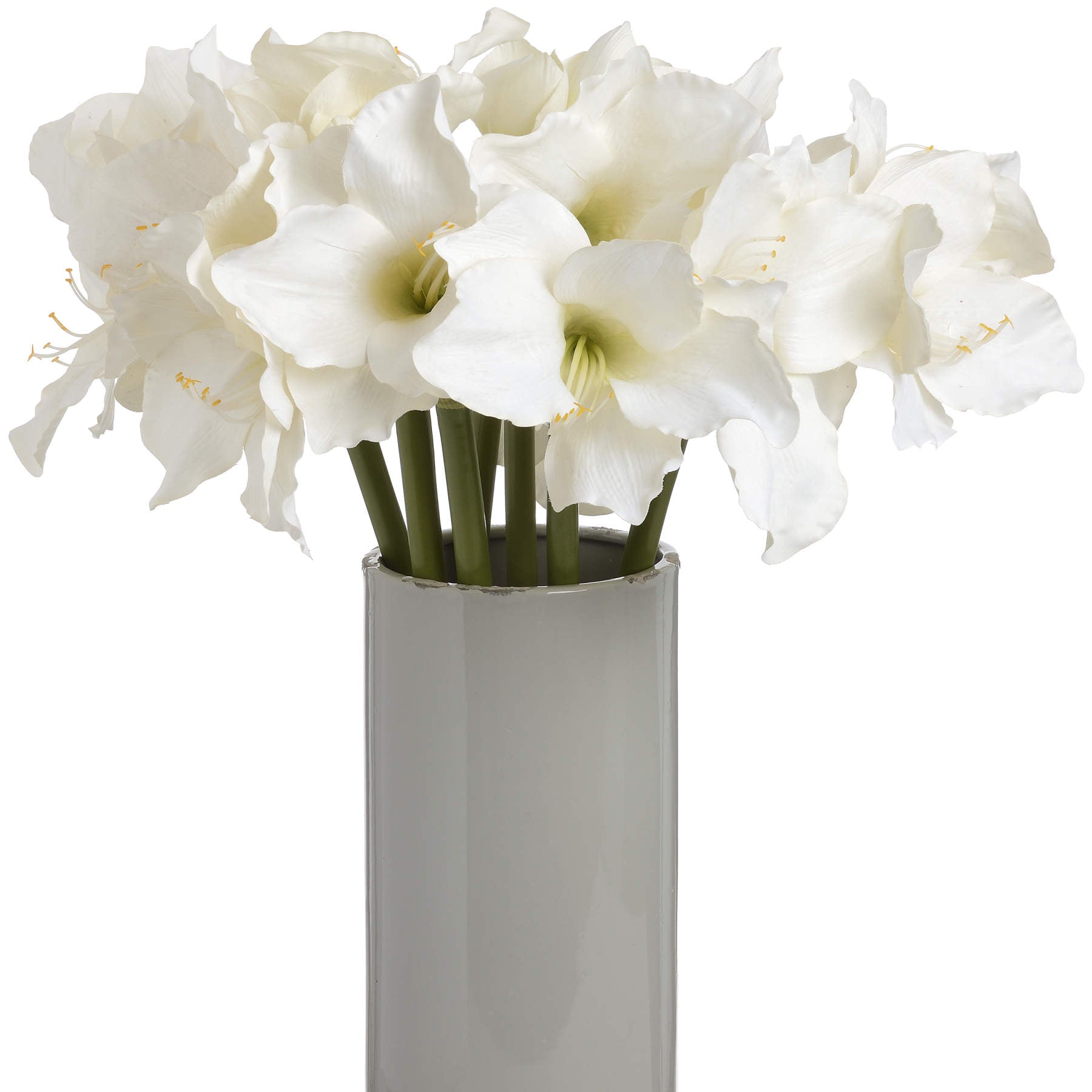 Elegant white amaryllis flowers in a sleek gray vase, featuring tall stems and multiple blossoms for a refined decor accent.