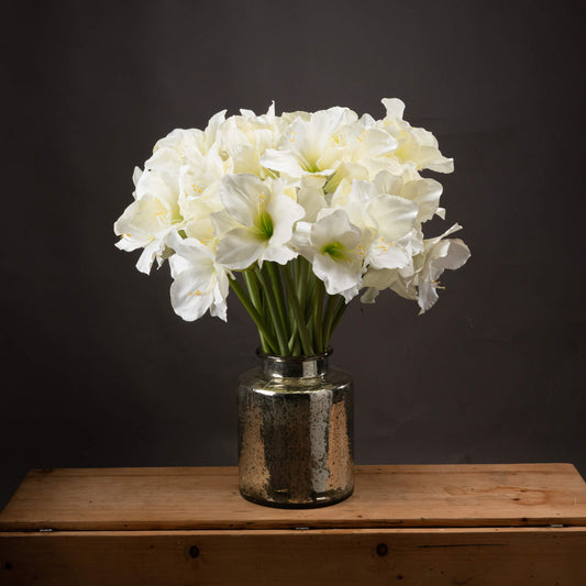 Classic White Amaryllis Flower - Single Stem Flowers from the Quanta Home collection.